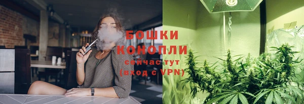 ГАЛЛЮЦИНОГЕННЫЕ ГРИБЫ Карталы