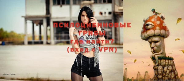 ГАЛЛЮЦИНОГЕННЫЕ ГРИБЫ Карталы
