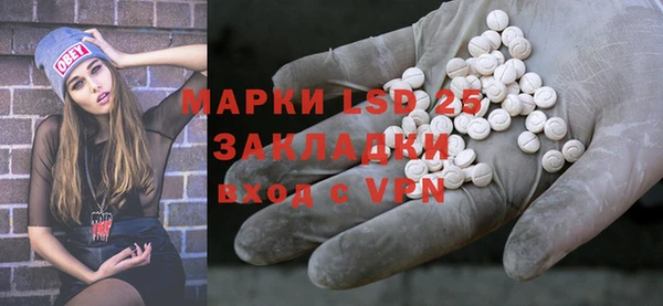 ГАЛЛЮЦИНОГЕННЫЕ ГРИБЫ Карталы