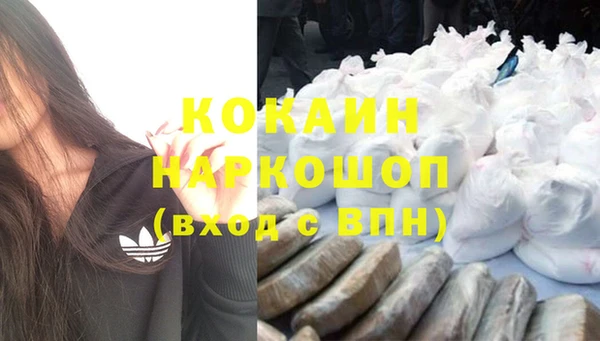 ГАЛЛЮЦИНОГЕННЫЕ ГРИБЫ Карталы