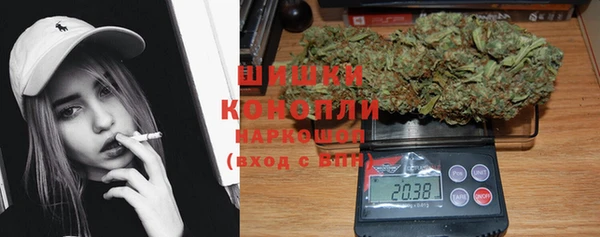 ГАЛЛЮЦИНОГЕННЫЕ ГРИБЫ Карталы